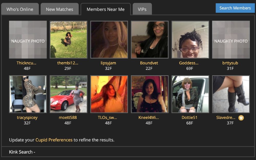 Fetster Membership Base
